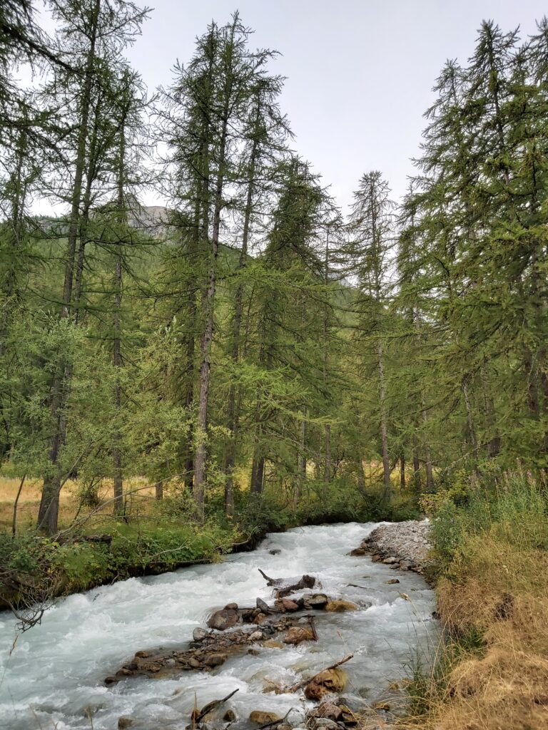 Photo d'une rivière près du Casset sans retouche.