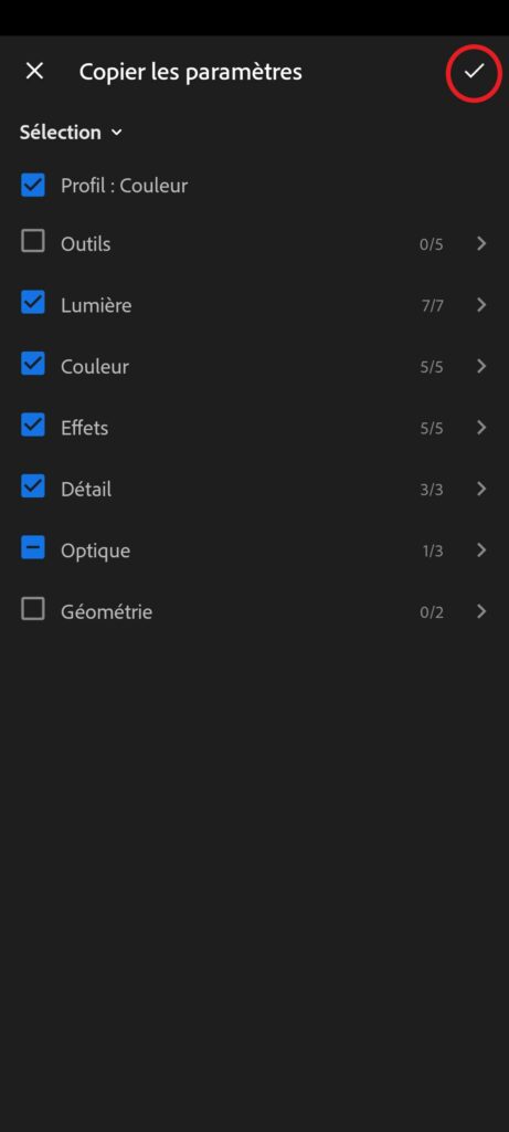 Capture d'écran de Lightroom mobile qui montre les paramètres sélectionnés.