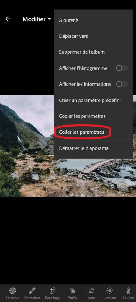 Capture d'écran de Lightroom mobile qui montre comment coller les paramètres.