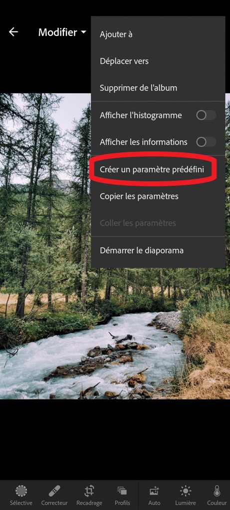 Capture d'écran de Lightroom mobile qui montre comment créer un paramètre prédéfini.