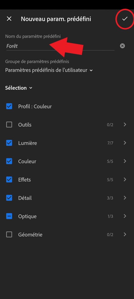 Capture d'écran de Lightroom mobile pour créer un nouveau paramètre prédéfini.